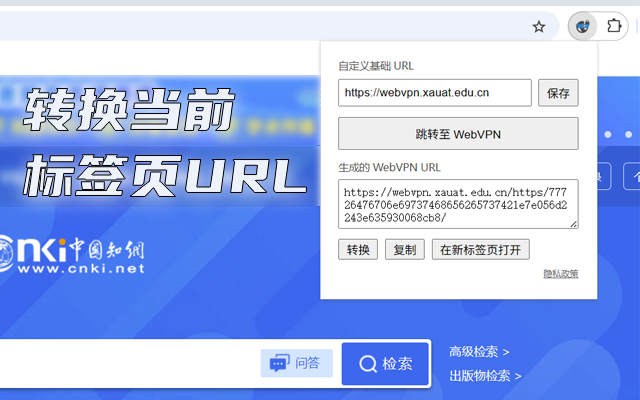 Extension Popup Interface